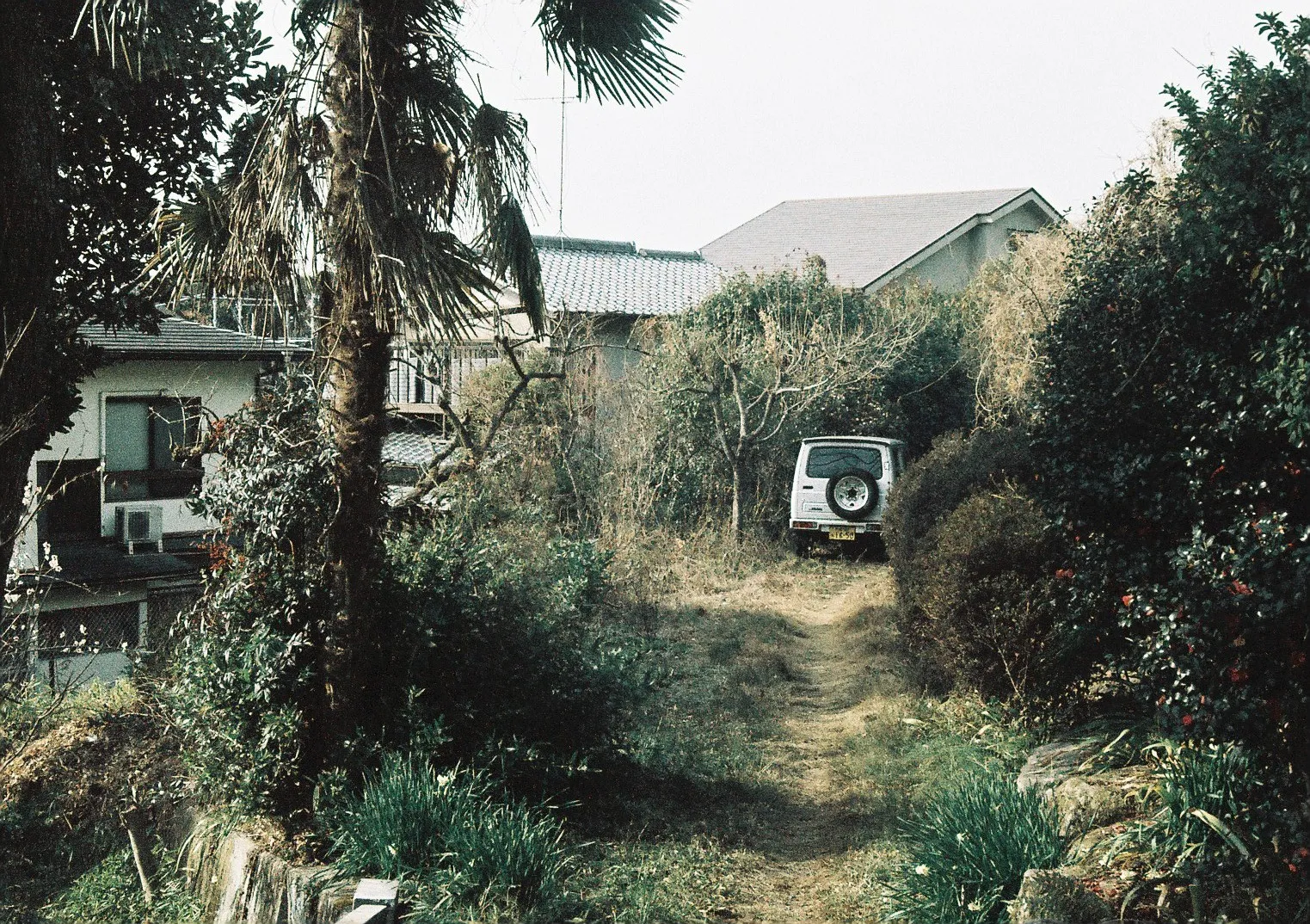 Film photograph shot on Ilford Ilfocolor 400 Plus Vintage Tone with a Canon AE-1 Program by Zigao Wang