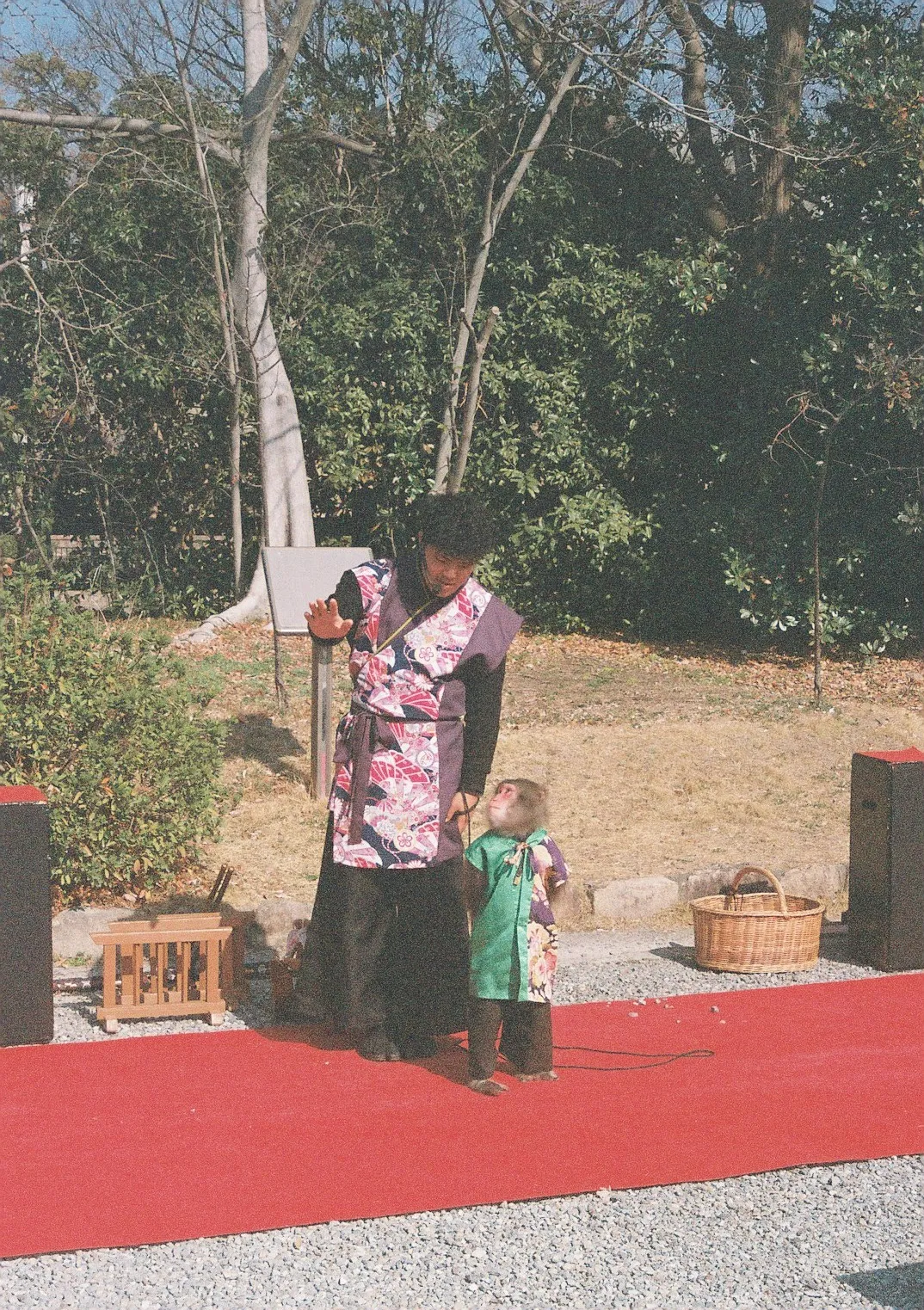 Film photograph shot on Kodak Portra 800 with a Canon AE-1 Program by Zigao Wang