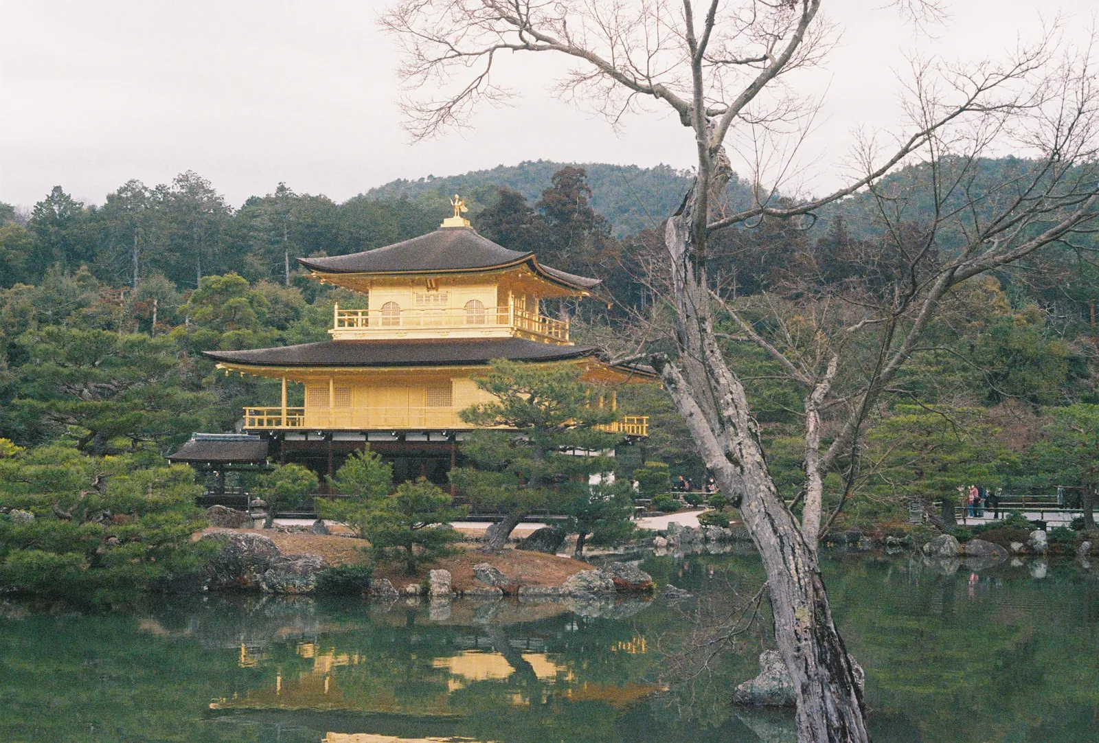 Film photograph shot on Lomography Color Negative 400 with a Canon AE-1 Program by Zigao Wang