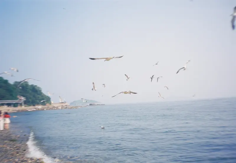 Film photograph shot on Kodak Vision3 250D with an Olympus Mju-I by CJ Liu