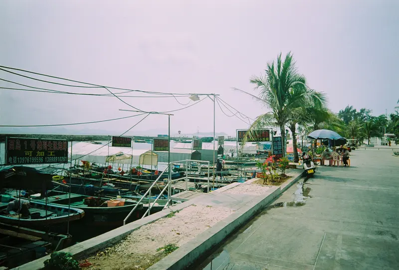 Film photograph shot on Lucky Color 200 with a Kodak Snapic A1 by Zigao Wang