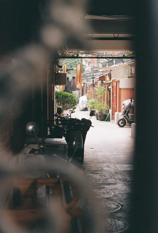 Film photograph shot on Kodak ColorPlus 200 with a Canon AE-1 Program by Zigao Wang