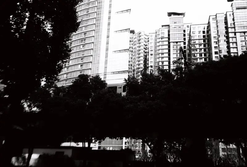 Film photograph shot on Ferrania P30 with an Olympus Mju-I by CJ Liu
