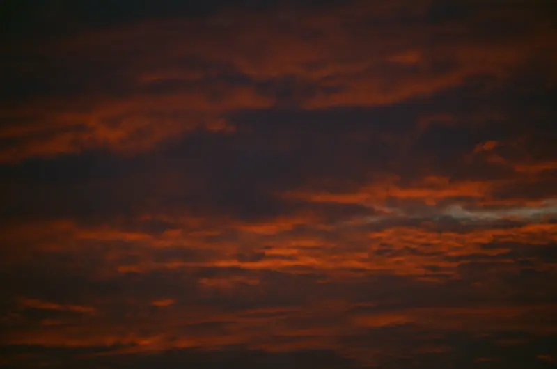 Film photograph shot on Kodak Ektachrome E100 with a Canon AE-1 Program by CJ Liu
