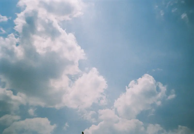 Film photograph shot on Kodak Gold 200 with an Olympus Mju-I by CJ Liu