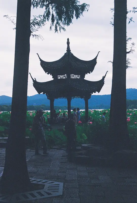 Film photograph from the roll Kodak UltraMax 400 · Canon AE-1 Program