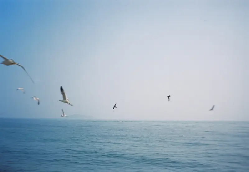 Film photograph shot on Kodak Vision3 250D with an Olympus Mju-I by CJ Liu