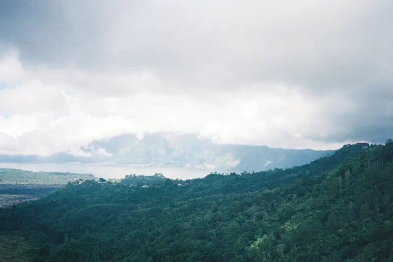 Film photograph shot on Kodak UltraMax 400 with a Canon Autoboy FXL by Febe Mo