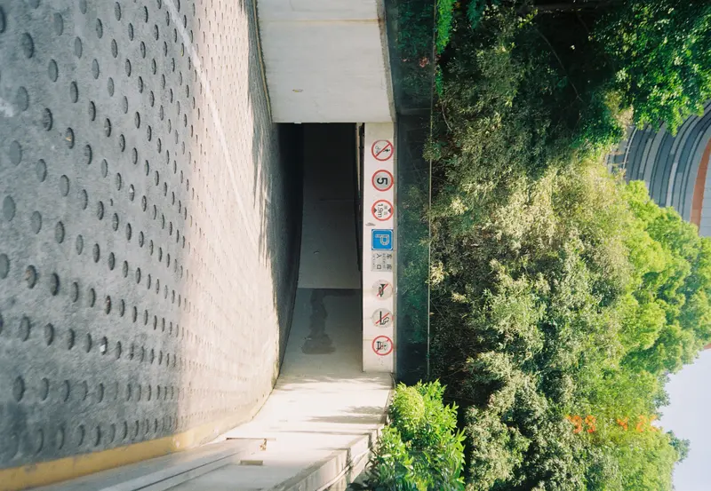Film photograph shot on Kodak Gold 200 with an Olympus Mju-I by CJ Liu