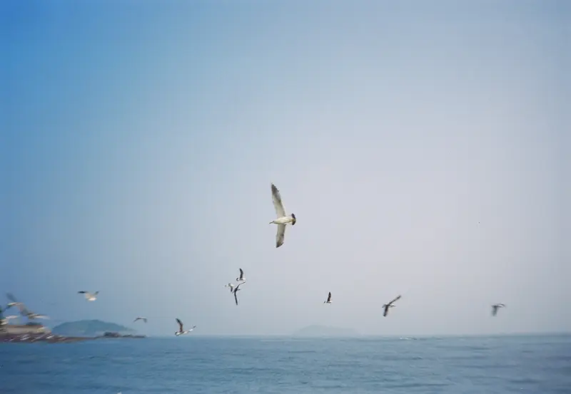 Film photograph shot on Kodak Vision3 250D with an Olympus Mju-I by CJ Liu