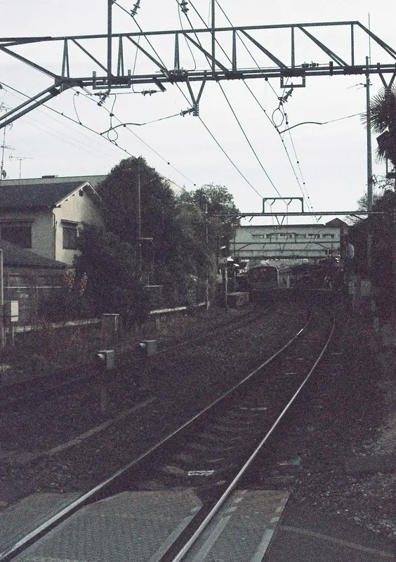 Film photograph shot on Ilford Ilfocolor 400 Plus Vintage Tone with a Canon AE-1 Program by Zigao Wang