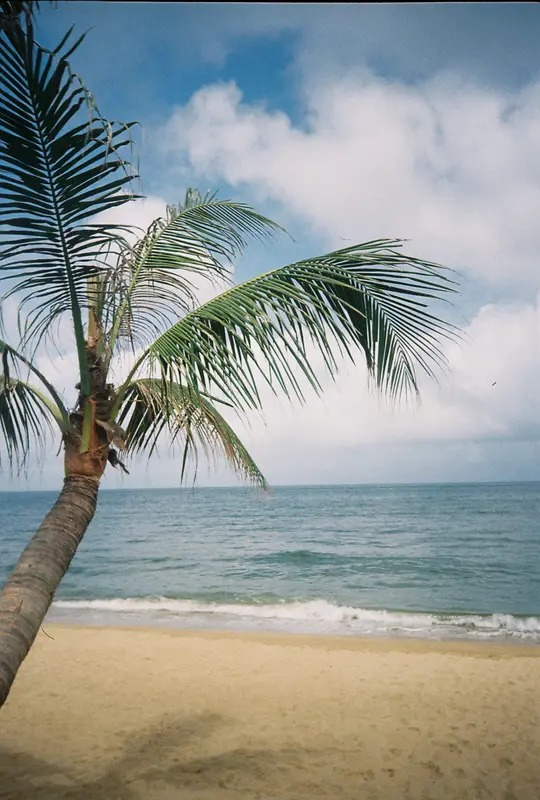Vietnam DaNang, film photograph shot on Kodak UltraMax 400 with a Kodak Snapic A1 by Notting Xu