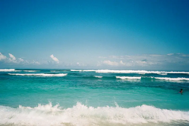 Film photograph shot on Kodak UltraMax 400 with a Canon Autoboy FXL by Febe Mo