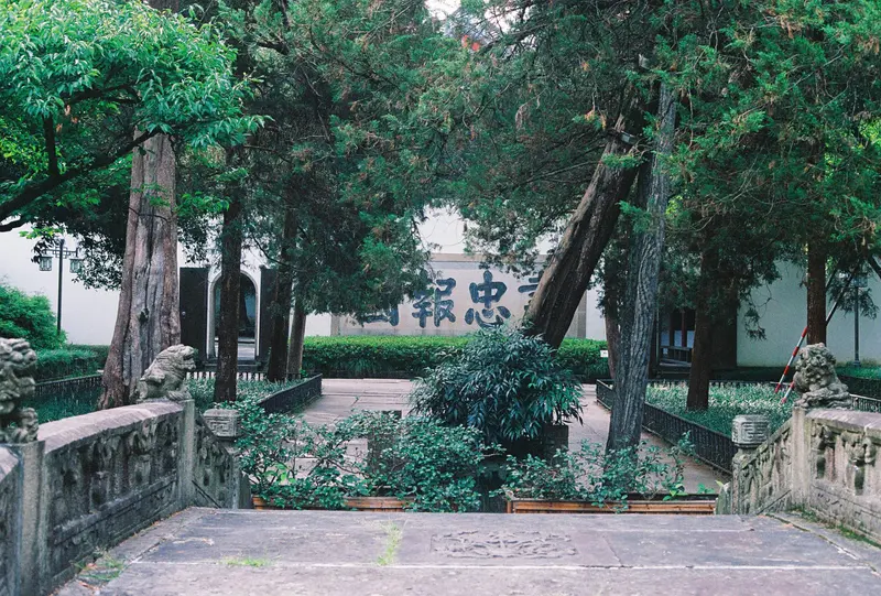 Film photograph from the roll Kodak UltraMax 400 · Canon AE-1 Program