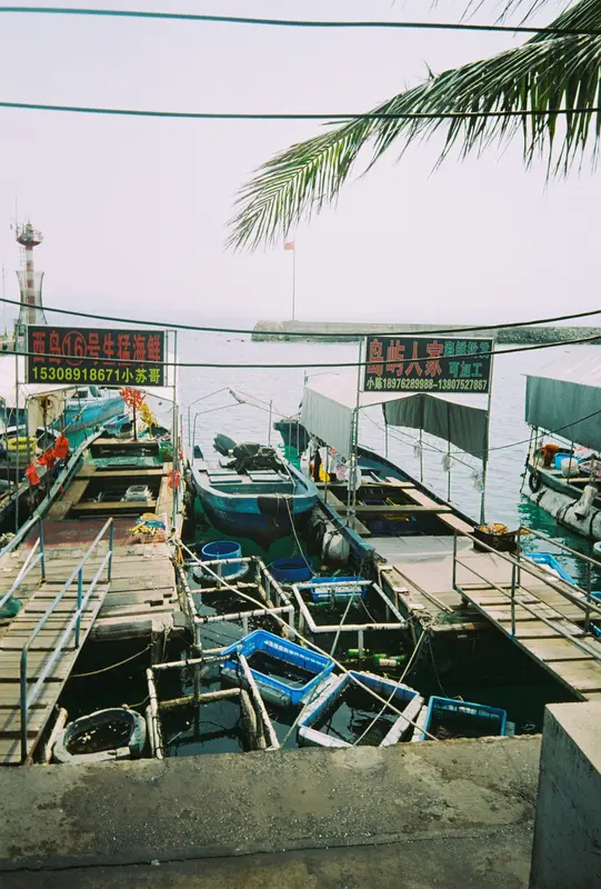 Film photograph shot on Lucky Color 200 with a Kodak Snapic A1 by Zigao Wang